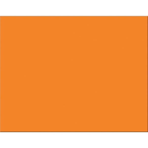 Pacon Board, Rr, 22X28, 4Ply, Oe, 25Pk PAC54781 - main